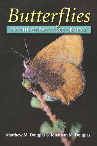 Cover of Butterflies of the Great Lakes Region