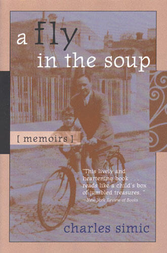 Cover of A Fly in the Soup - Memoirs