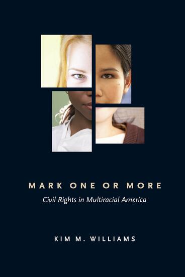 Cover of Mark One or More - Civil Rights in Multiracial America