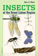 Book cover for 'Insects of the Great Lakes Region'