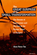 Book cover for 'The Great Surprise of the Small Transformation'