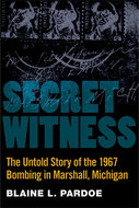 Book cover for 'Secret Witness'