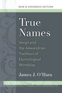 Book cover for 'True Names'
