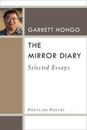 Book cover for 'The Mirror Diary'