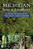Book cover for 'Michigan Ferns and Lycophytes'
