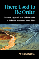 Book cover for 'There Used to Be Order'