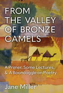 Book cover for 'From the Valley of Bronze Camels'