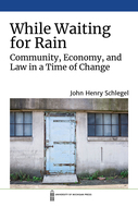 Book cover for 'While Waiting for Rain'