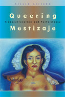 Book cover for 'Queering Mestizaje'