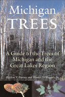 Book cover for 'Michigan Trees, Revised and Updated'
