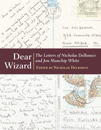 Book cover for 'Dear Wizard'