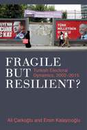 Book cover for 'Fragile but Resilient?'