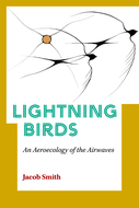 Book cover for 'Lightning Birds'