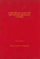 Book cover for 'P.Michigan XVII'