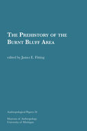 Book cover for 'The Prehistory of the Burnt Bluff Area'