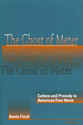 Cover image for 'The Ghost of Meter'