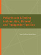 Cover image for 'Policy Issues Affecting Lesbian, Gay, Bisexual, and Transgender Families'