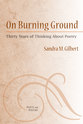 Cover image for 'On Burning Ground'