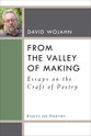 Cover image for 'From the Valley of Making'