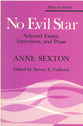 Cover image for 'No Evil Star'