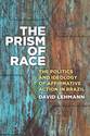 Cover image for 'The Prism of Race'