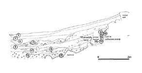 XC, plan and section.