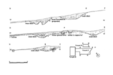 Forum II and III, sections.