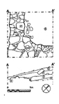 Q5, plan and section.