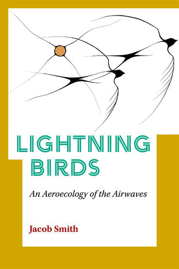 Cover of Lightning Birds - An Aeroecology of the Airwaves