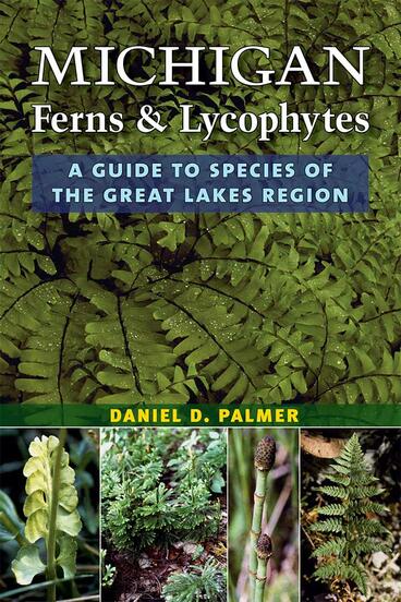 Cover of Michigan Ferns and Lycophytes - A Guide to Species of the Great Lakes Region