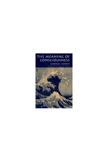 Cover of The Meaning of Consciousness